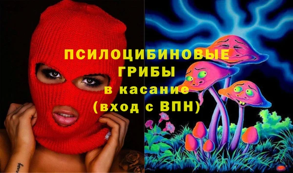 спиды Арсеньев
